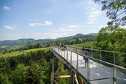 Bombastisch gestartet: In den ersten zehn Tagen besuchten über 10'000 Personen den Baumwipfelpfad in Mogelsberg. (Bild: Keystone)