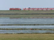 Über den Hindenburgdamm fuhren am Samstag weniger Züge als normal. Grund waren abgesackte Schienen, die den Transport von Sylt-Besucherinnen und -Besuchern erschwerten. (Bild: KEYSTONE/AP/HERIBERT PROEPPER)
