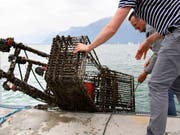 Reiche Beute bei der "Seeputzete" im Genfersee: Neben diesen Einkaufswagen kam auch ein Blindgänger zum Vorschein. (Bild: KEYSTONE/LAURENT GILLIERON)