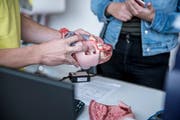 Das Interesse an Berufen in der Gesundheitsbranche ist hoch. An der Berufsmesse Thurgau erhalten Jugendliche Einblicke in verschiedene Branchen. (Bild: Mareycke Frehner)