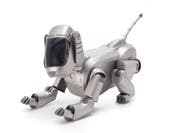 Der niedliche Familienhund: «Aibo» ist das japanische Wort für Kamerad oder Freund. (Bild: Andreas Sütterlin/Sony)