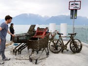 Die neuen Freiwilligen wollen mitdenken und mitbestimmen können. Die klassische Freiwilligenarbeit befindet sich gemäss einer Studie dagegen auf dem Rückzug. Im Bild die jährliche "Seeputzete" des Genfersees. (Bild: Keystone/LAURENT GILLIERON)
