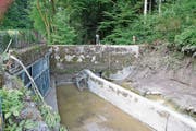 Der Einlauf des Entlastungsstollens beim Würzenbach (links im Bild) war beim Hochwasser 2015 verstopft. (Bild: Beatrice Vogel (Luzern, 17. Juni 2015))