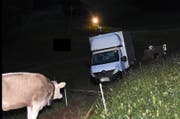 Da staunt die Kuh über den seltsamen Besuch auf ihrer Wiese. (Bild: Kantonspolizei SG)