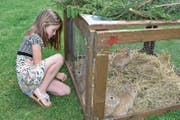 Eine junge Besucherin an der Jungtierschau in Schattdorf. (Bild: Georg Epp (Schattdorf, 27. Mai 2018))