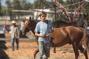 Charlie Plummer als Charley in «Lean On Pete» von Andrew Haigh (Bild: Filmcoopi).