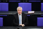 Der deutsche Innenminister Horst Seehofer. (Markus Schreiber/AP)