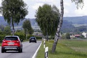 Die Birkenallee an der Knonauerstrasse soll gefällt werden. (Bild: Werner Schelbert (Cham, 28. Mai 2018))