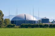 Weltweit tätige Unternehmen wie Alpla, Blum oder Doppelmayr profitieren von der zentralen Lage im Vierländereck.