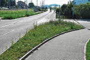 An der Kreuzung Tösstalstrasse/Stationsstrasse ist bereits eine Blumenwiese zu sehen. (Bild: Roman Scherrer)