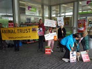 Zum Auftakt des Prozesses vor dem Bezirksgericht Zofingen AG forderten Tierschützer eine harte Strafe für das angeklagte Ehepaar. Der Mann hatte die beiden Hunde in der Aare ertränkt. (Bild: Foto Thomas Gerber/sda)