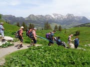 Vorsichtig wird der Trekkingrollstuhl von Freiwilligen über das holprige Gelände gefahren. (Bilder: PD)