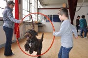 Dank der Unterstützung der Zuger Kantonalbank durften acht Kinder mit Behinderung einen Tag im Kinder- und Jugendzirkus Zug verbringen, wo sie unter anderem lernten, mit Hunden Kunststücke vorzuführen. (Bild: PD)