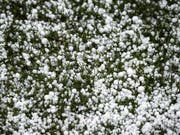 Hagelkörner haben am Mittwochabend die Stadt Baden vorübergehend winterlich aussehen lassen. (Bild: KEYSTONE/PETER SCHNEIDER)