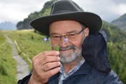Ebenalp-Bähnler Paul Ambühl weiss, wo seltene Bergblumen wachsen. (Bilder: Urs Oskar Keller)