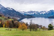 Von der Planungszone betroffen ist unter anderem das Gebiet Teufibalm oberhalb von Vitznau. (Bild: Roger Grütter)