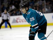 Timo Meier von den San Jose Sharks könnte schon bald im Trikot des Schweizer Nationalteams auflaufen (Bild: KEYSTONE/AP/MARCIO JOSE SANCHEZ)
