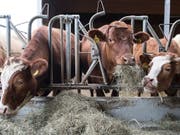 Während jedes Jahr Bauernhöfe in der Schweiz verschwinden, setzten immer mehr Betriebe auf die biologische Produktion. (Themenbild) (Bild: KEYSTONE/PETER SCHNEIDER)