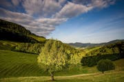 Blick ins Guldental im Naturpark Thal im Kanton Solothurn (Bild: PD)