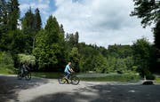 Es herrscht immer mehr Betrieb im Steinhauserwald. Auf dem Bild sind Velofahrer beim Waldsee zu sehen. (Bild: Stefan Kaiser (Steinhausen, 29 Mai 2018))