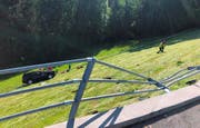 Das Auto des Seniors überschlug sich mehrmals, bevor es in einem Hang zum Stillstand kam. (Bild: Kantonspolizei Appenzell Ausserrhoden)