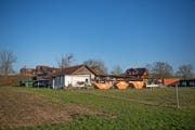 Dieser Werkhof wurde ohne rechtmässige Bewilligung erstellt und über die Jahre immer wieder erweitert. Der Gemeinderat hat nun entschieden, dass 11 von 14 Bauten abgerissen werden müssen. (Bild: Corinne Glanzmann (Neuenkirch, 2. Dezember 2016))