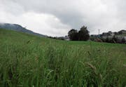 Das Gebiet Rüssen in Sihlbrugg soll als Bauland eingezont werden. (Bild: Stefan Kaiser (Baar, 16. Mai 2018))