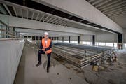 Daniel Suter, Direktor des Campus Sursee, in der Schwimmhalle der neuen Sportarena auf dem Gelände des Campus. (Bild: Pius Amrein, 30. Mai 2018)