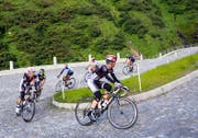 Der Granfondo San Gottardo führt über die Pavé-Tremola. (Bild: Elisa Solida)