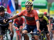 Der Italiener Sonny Colbrelli (vorne) freut sich in Gansingen über seinen Etappensieg im Sprint (Bild: KEYSTONE/GIAN EHRENZELLER)