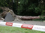 Das Unwetter war so stark, dass es im Grazer Stadtpark ein Baum entwurzelt wurde. Dabei kam ein Mann ums Leben. (Bild: Keystone/APA/APA/ERWIN SCHERIAU)