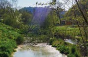 Aus dem Reuss-Rotseekanal ist ein naturnaher Bach geworden. (Bild: pd)