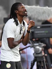 Senegal's Trainer Allou Cissé während des Spiels zwischen dem Senegal und Luxembourg. (AP Photo/Geert Vanden Wijngaert)