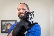 Tierarzt Martin Hofstetter mit Abu, der als kastrierter Kater zur diabetesgefährdeten Gruppe gehört, aber glücklicherweise gesund ist. (Bild: Hanspeter Schiess)