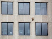 Ein wahrer Kletterkünstler: Ein Waschbär klettert an der Aussenwand des UBS-Tower im US-Bundesstaat Minnesota 23 Stockwerke hinauf bis aufs Dach. (Bild: KEYSTONE/AP Minnesota Public Radio/EVAN FROST)