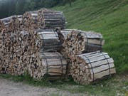 Der Säntis Innovationscluster Holz will mit heimischem Holz punkten. (Bild: Wald Schweiz)