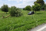 Der Apfelbaum liegt nach dem Unfall entwurzelt auf der Wiese. (Bild: Luzerner Polizei (Römerswil, 14. Juni 2018))