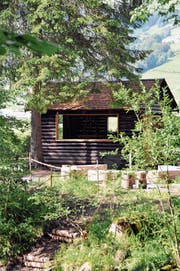 Dank neuen Öffnungen kommt mehr Licht in die Blockhütte auf dem Inseli bei Neu St. Johann hinein. (Bild: Sabine Schmid)