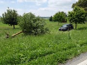 Das Auto kollidierte seitlich mit dem Apfelbaum und brachte diesen zu Fall. (Bild: Luzerner Polizei)