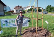 Vereinspräsidentin Regula Ammann tränkt die frisch gepflanzte Linde an der Ecke Mörikonerstrasse/Weinfelderstrasse. (Bild: Christoph Heer)