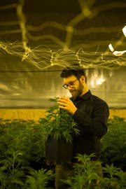 CBDeluxe-Teilinhaber Marco Joller in der Produktionshalle im Industriegebiet von Hitzkirch. (Bild: Dominik Wunderli, 29. Mai 2018)