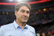 Wird René Weiler neuer Trainer des FC Luzern? (Bild: Tobias Hase / Keystone)