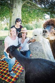 Besitzerin Desirée Müller, Produzentin Rika Brune und Moderatorin Mona Vetsch streicheln die Alpakas. (Bild: Andrea Stalder)