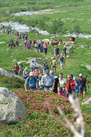 Die 106 Teilnehmer des Gotthardmarschs hatten grosses Wetterglück. (Bild: PD)