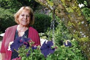 Die Ideen gehen ihr nicht aus: Ute Ruf, hier im Garten bei sich Zuhause. Bild: Werner Schelbert (Bonstetten, 14. Juni 2018)