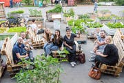 Prost! Besucherinnen und Besucher stossen auf das erste "Gin Gin"-Festival an. (Bild: Ralph Ribi)