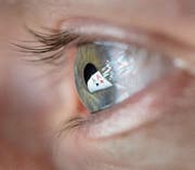 Das Geldspielgesetz könnte das Onlinepokern verändern. (Bild: Gaetan Bally/Keystone)