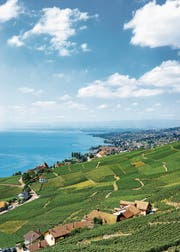 Etwa am Genfersee besitzen viele vermögende Ausländer einen Wohnsitz. (Bild: Getty (Lavaux, 30. August 2016))