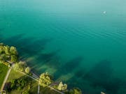 Der Kieselalge, die neben Licht auch ruhiges Wasser braucht, gehen die Nährstoffe aus. Daher ist die Entwicklung bereits wieder rückläufig. (Bild: Tino Dietsche)