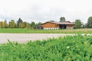Darf sie bleiben, oder muss sie weg? Das Baurechtsverfahren für die Halle mit der Trocknungsanlage für Holzhackschnitzel ist noch nicht entschieden. (Bild: Donato Caspari)